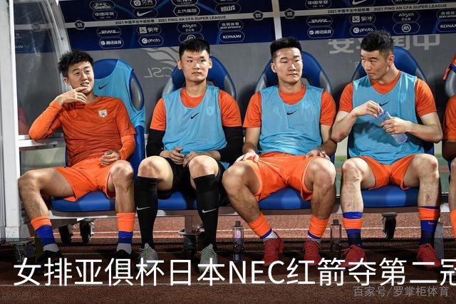 女排亚俱杯日本NEC红箭夺第二冠 佐藤淑乃荣膺MVP