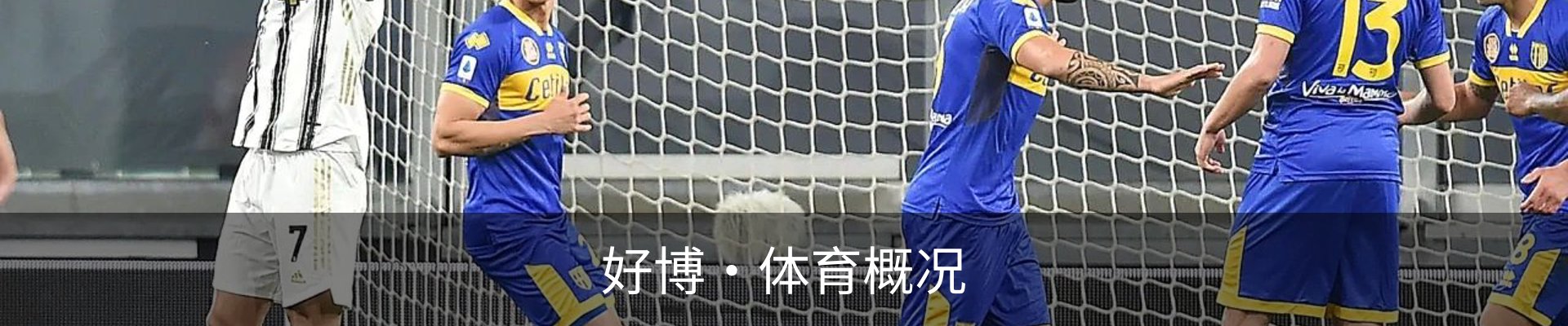 好博·体育概况